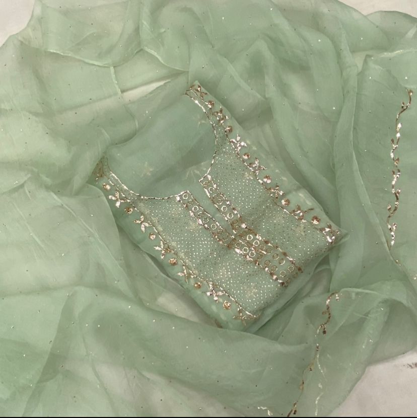Saral Organza Suit