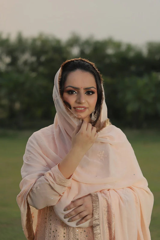 Premium Chikankari Anarkali