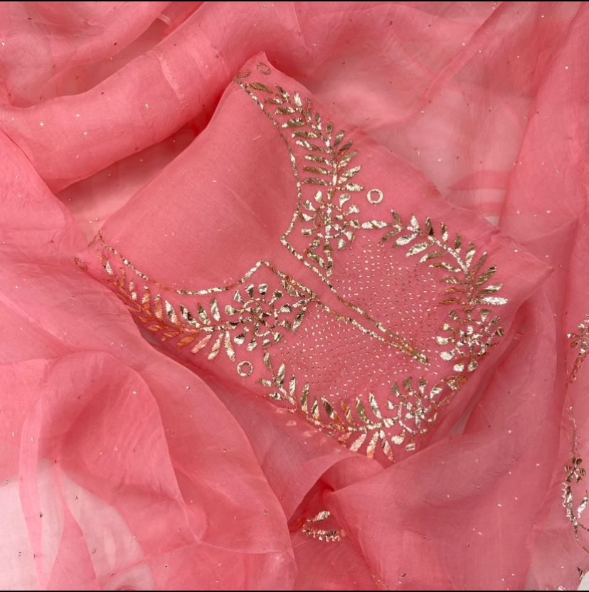 Saral Organza Suit