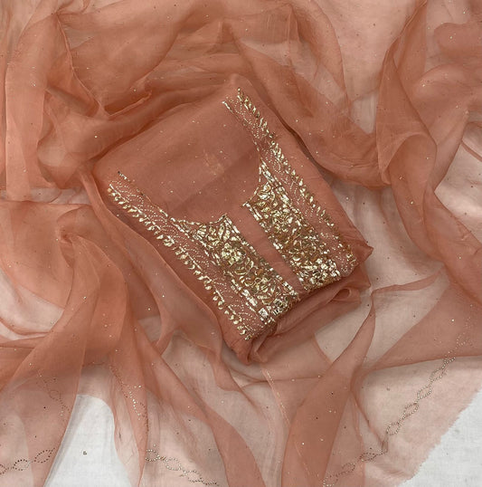 Saral Organza Suit